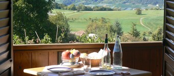 Hotel e Appartamenti Al Larice