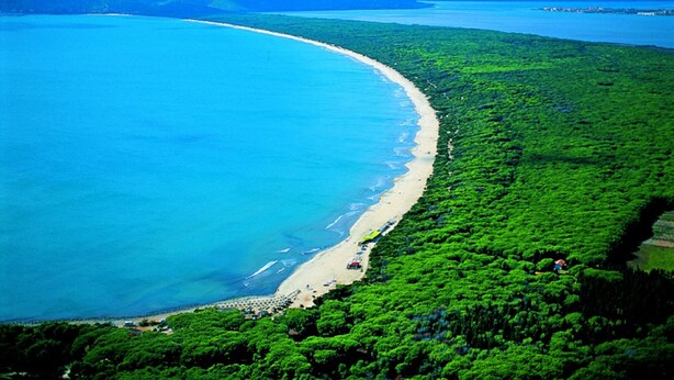 Vista aérea de una zona costera con playa, abundante vegetación y mar azul cristalino.