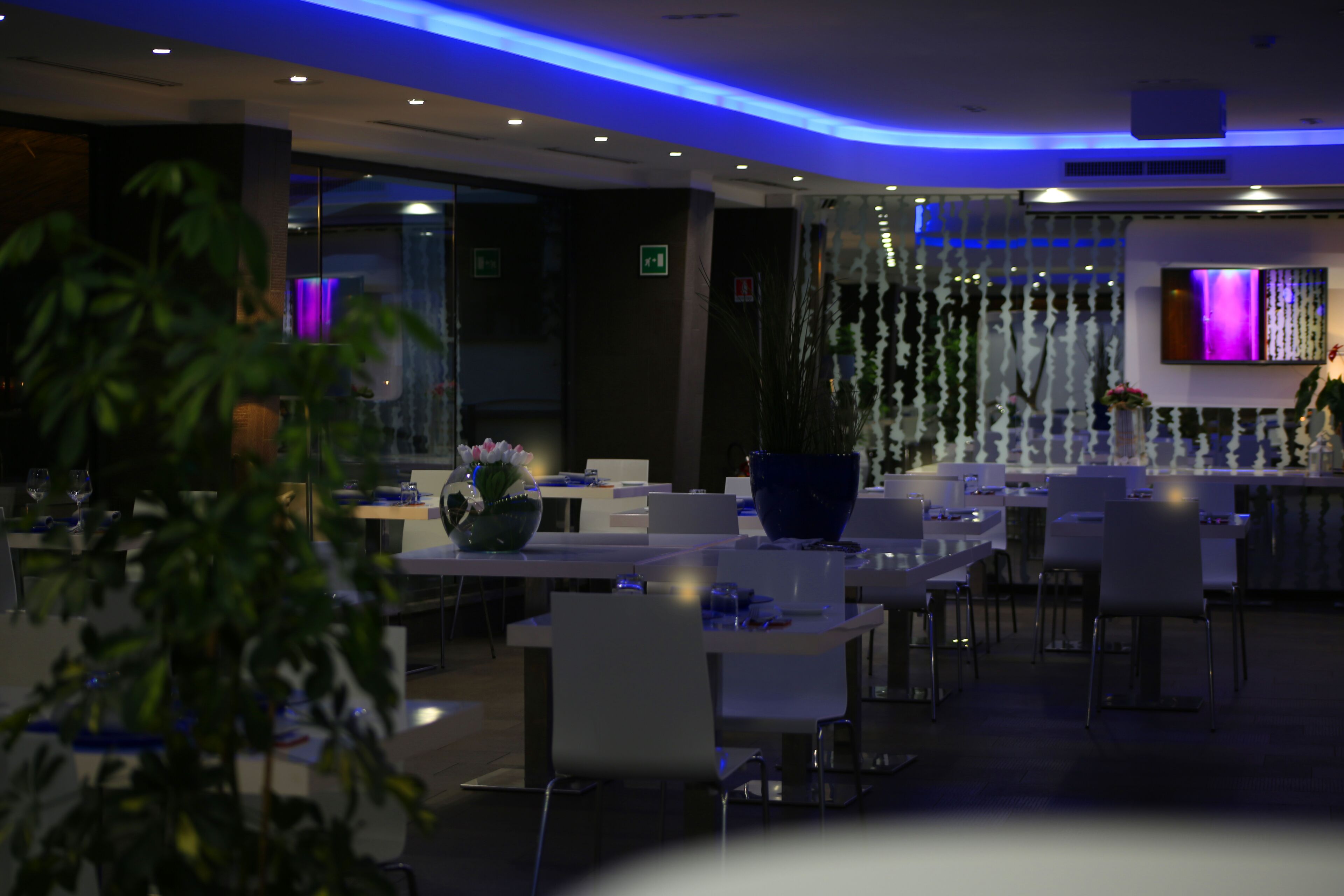 Un restaurant moderne avec des tables et des chaises blanches, un bol décoratif bleu et un mur éclairé en violet.