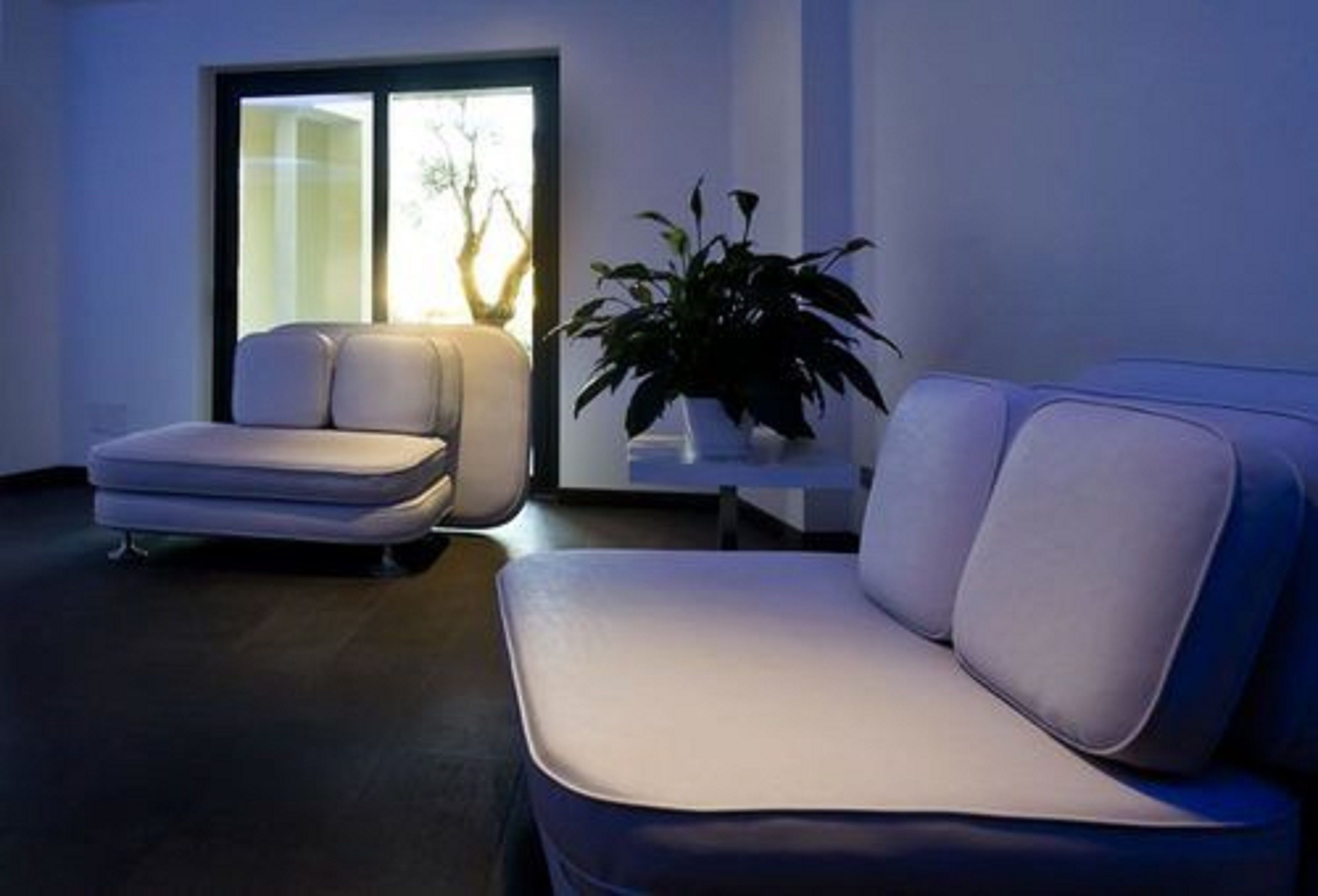 A modern living room with a sofa and armchair, a potted plant, and a view through a glass door.