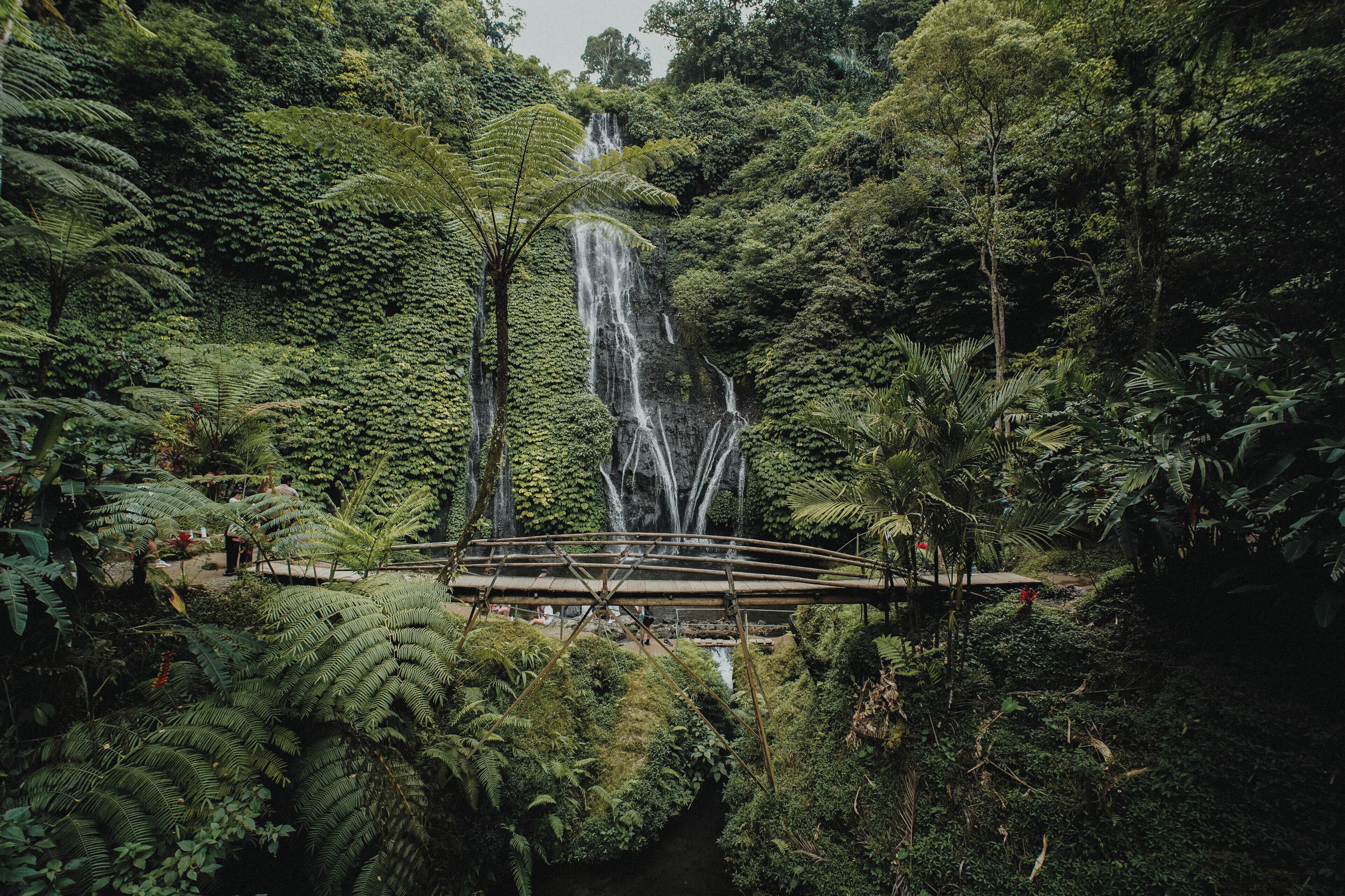 Photo - Munduk Moding Plantation Nature Resort