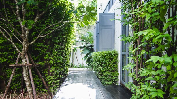 A narrow, paved pathway flanked by dense greenery and a building with a grey door. - Baan Noppawong (Bangkok)
