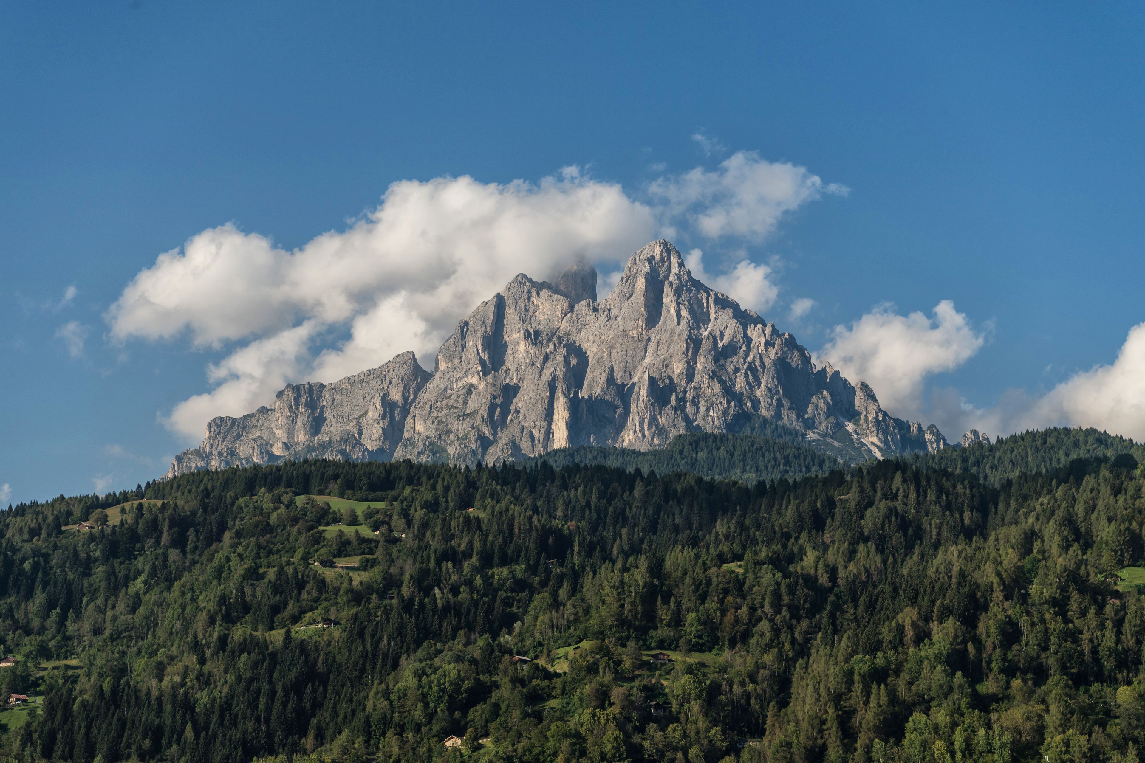 A mountain with a rocky peak and a forested base.