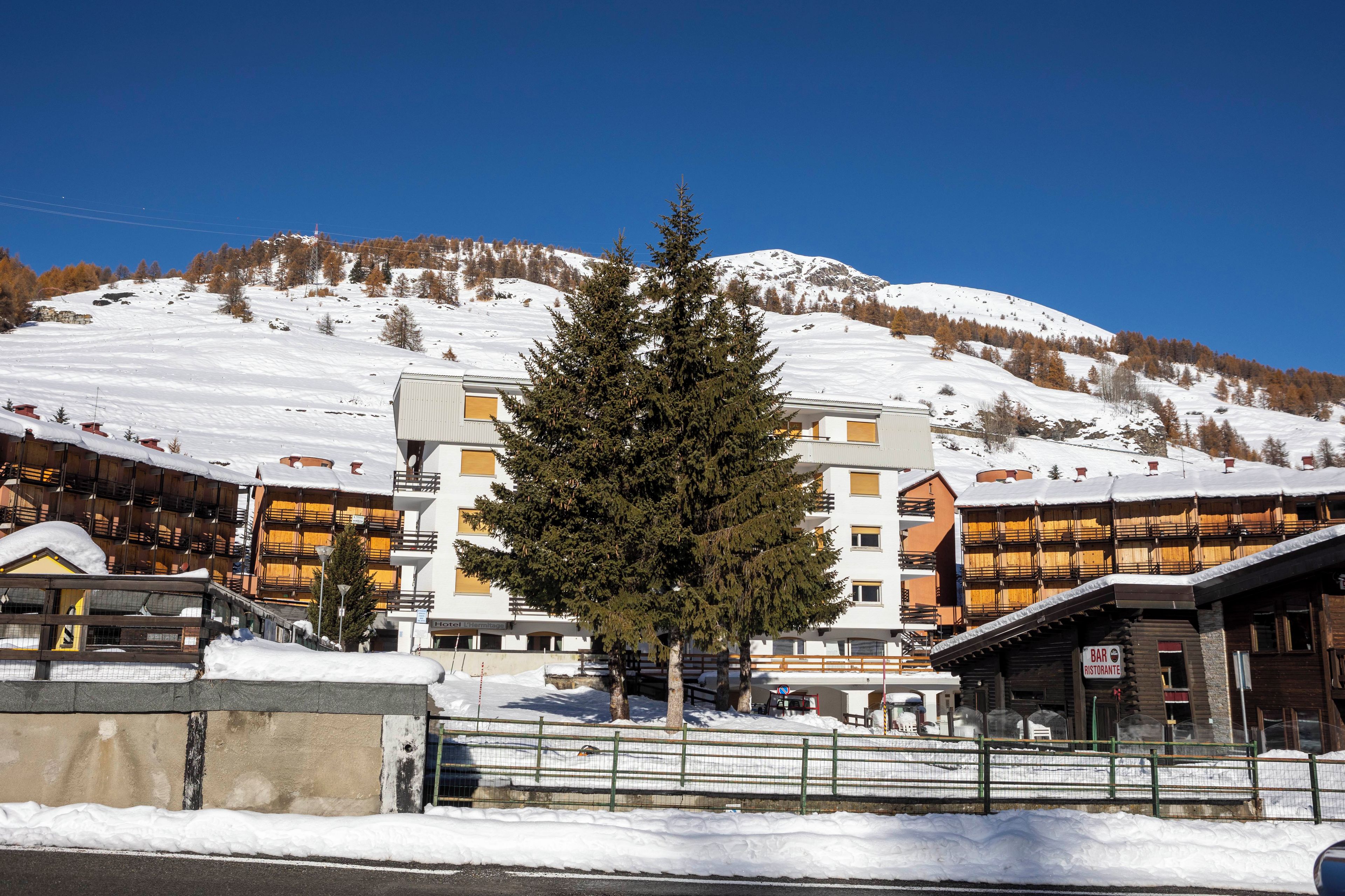 Een hotel met meerdere verdiepingen, een opvallende boom ervoor en een besneeuwde berg op de achtergrond.
