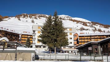 Een hotel met meerdere verdiepingen, een opvallende boom ervoor en een besneeuwde berg op de achtergrond.