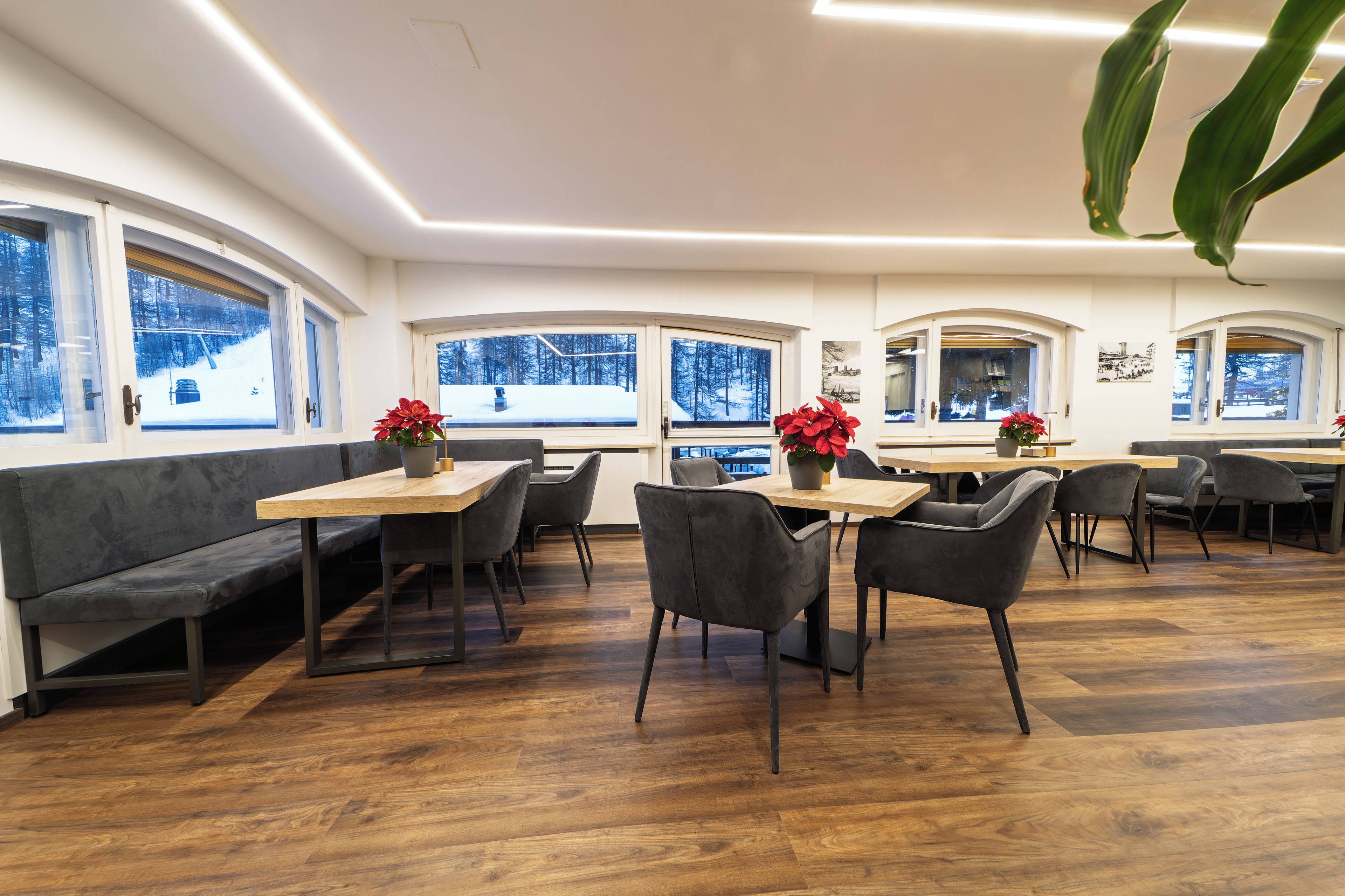 A modern dining area with wooden flooring, grey upholstered seating, and tables with potted red flowers.