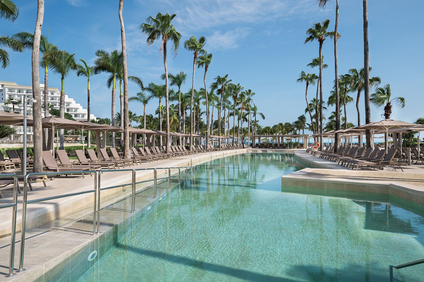A poolside area with lounge chairs and umbrellas, surrounded by palm trees.