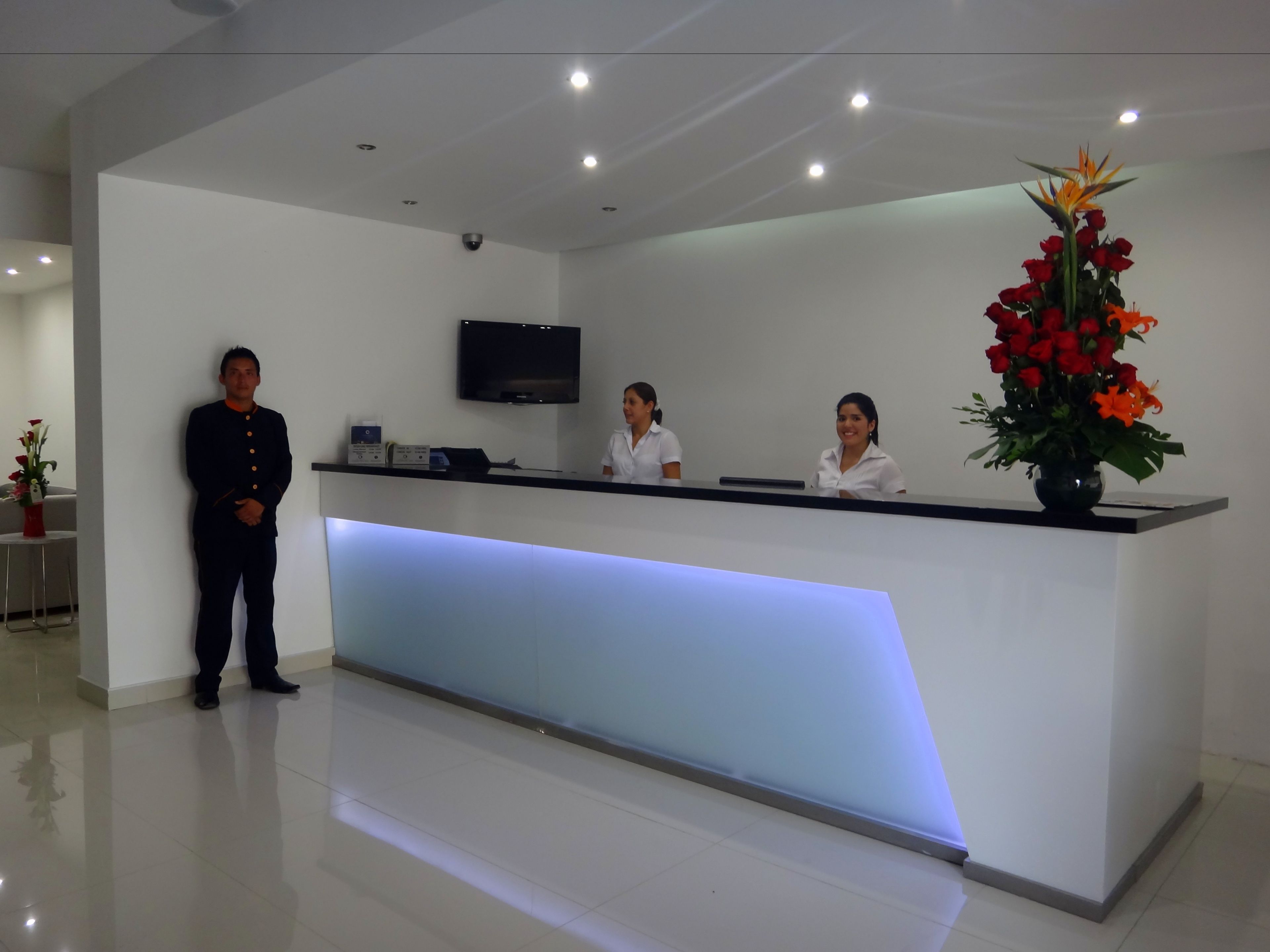 Una recepción con diseño moderno, un televisor de pantalla plana en la pared y un jarrón con flores rojas.