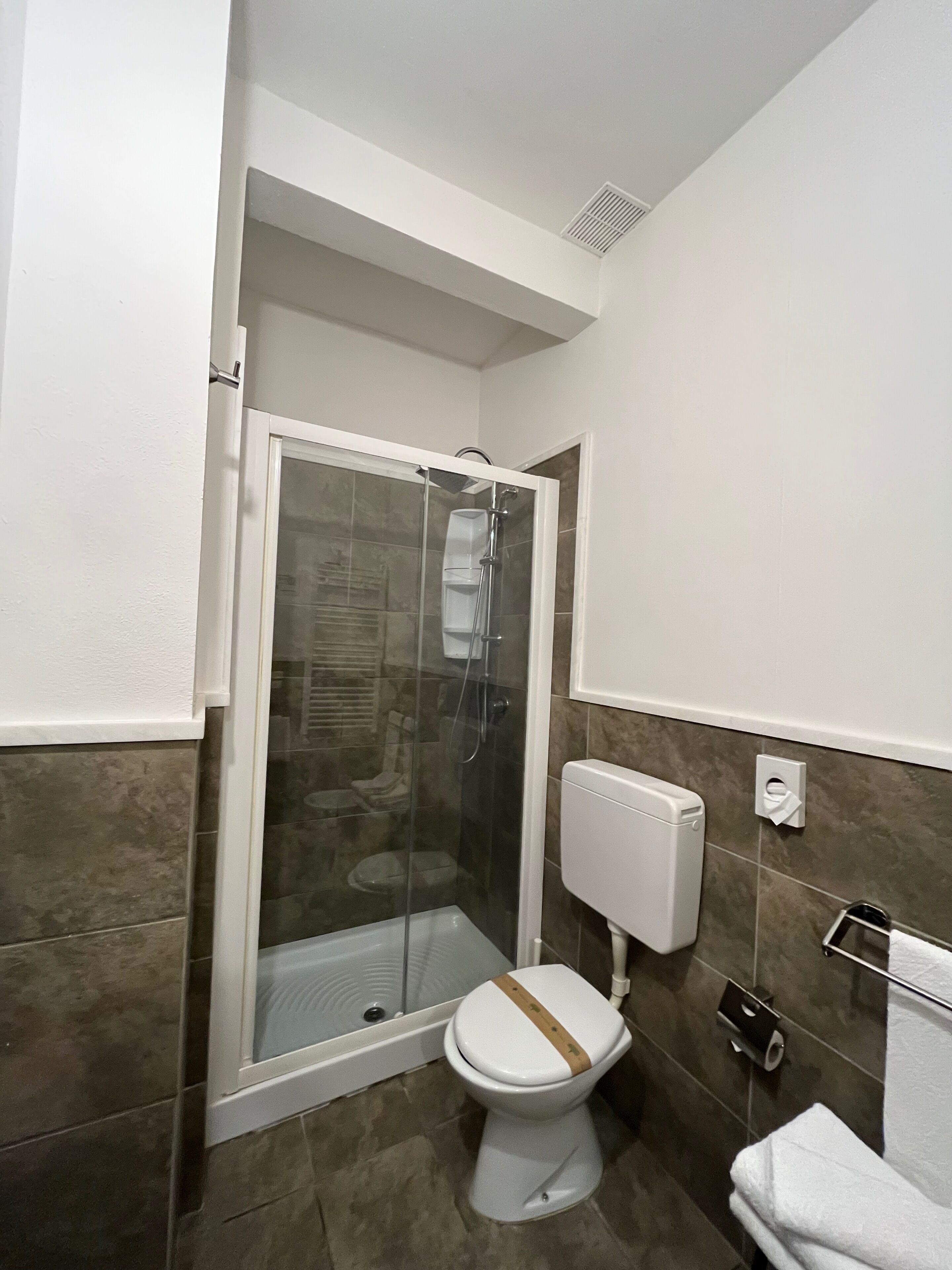 A bathroom with a shower enclosure, toilet, and towel rack.