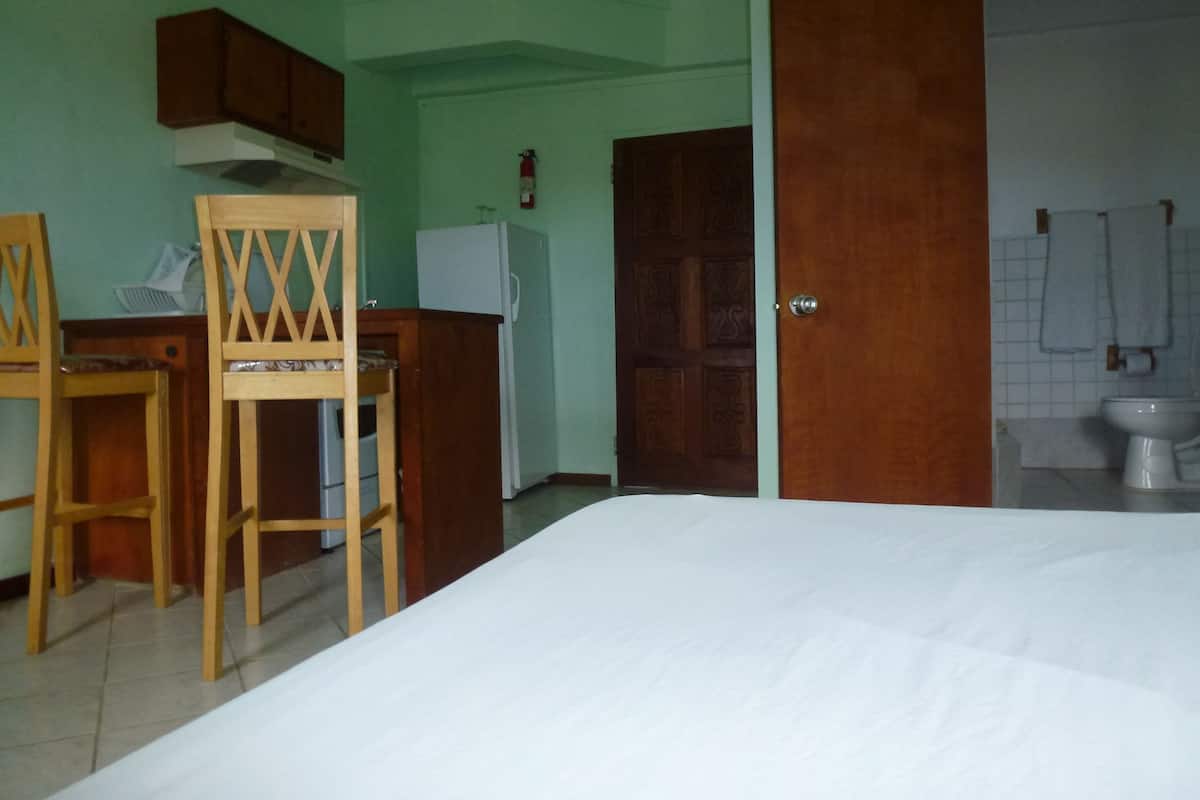 Camera Deluxe, 1 letto queen | Wi-Fi gratuito, lenzuola