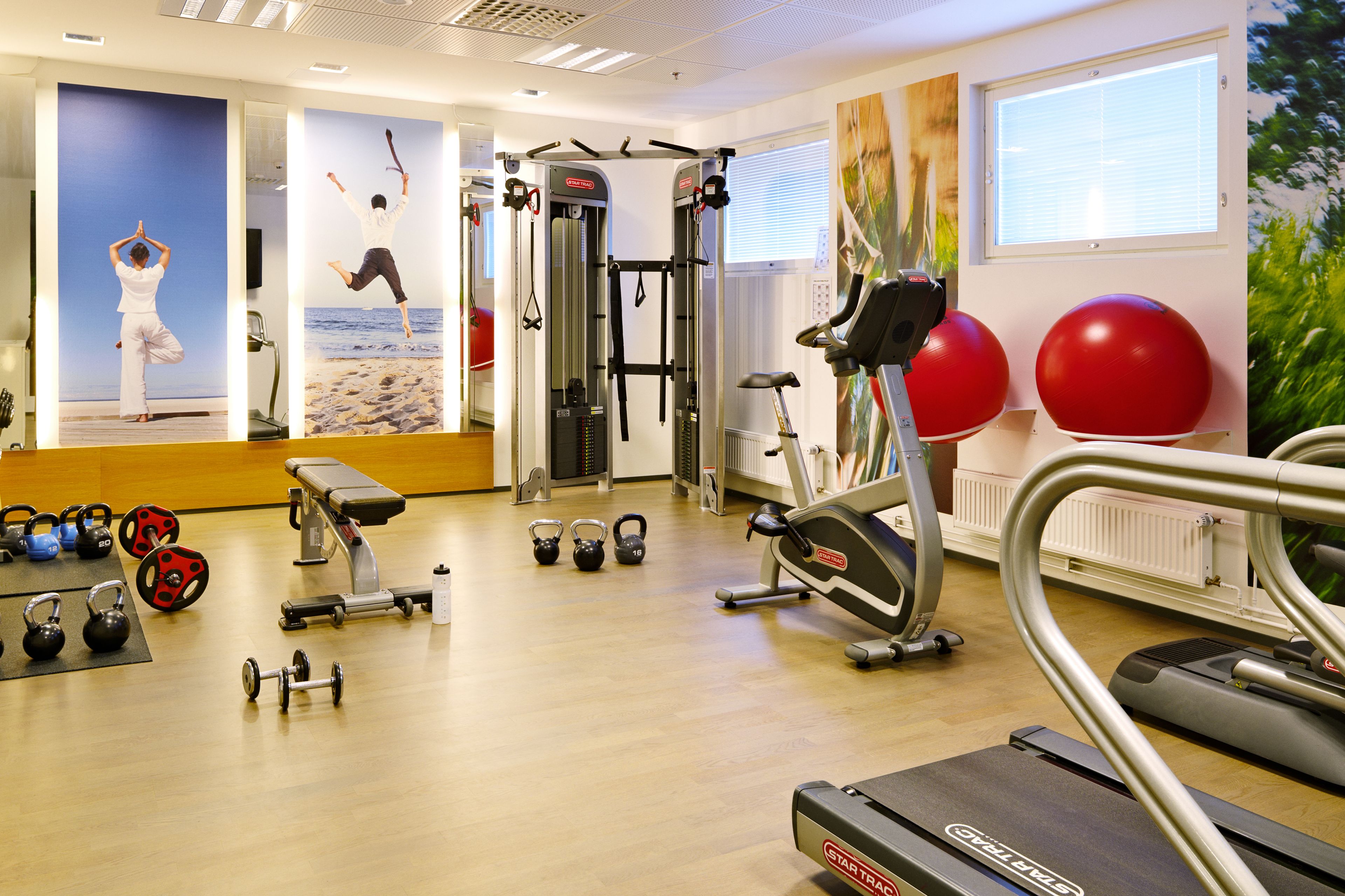 A gym with cardio equipment, weights, and exercise balls.