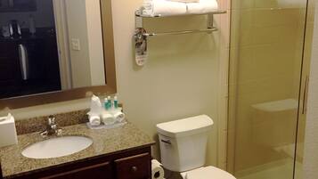 Une salle de bain équipée d’un lavabo, d’un miroir, de toilettes et d’une douche à parois en verre.