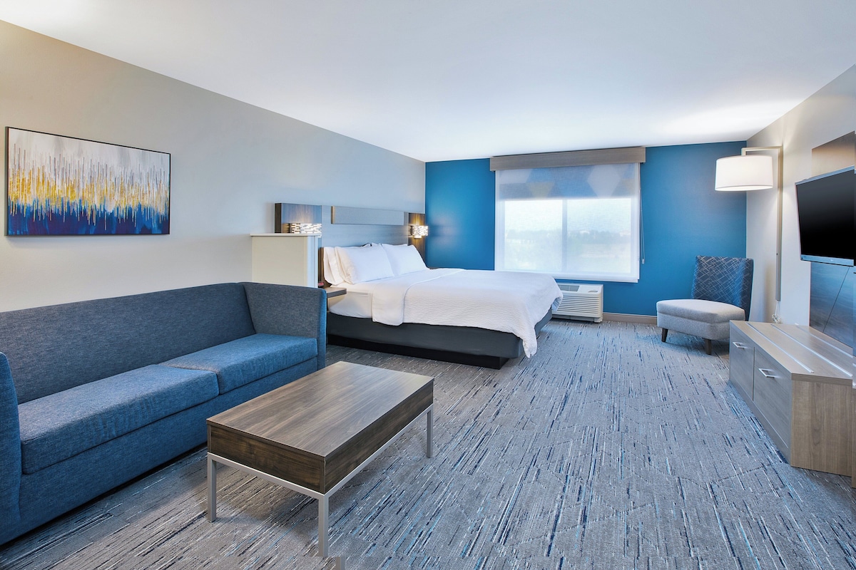 Suite, 1 King Bed with Sofa bed