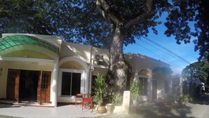Un bâtiment doté d’un auvent vert, de grandes fenêtres et d’un arbre devant.