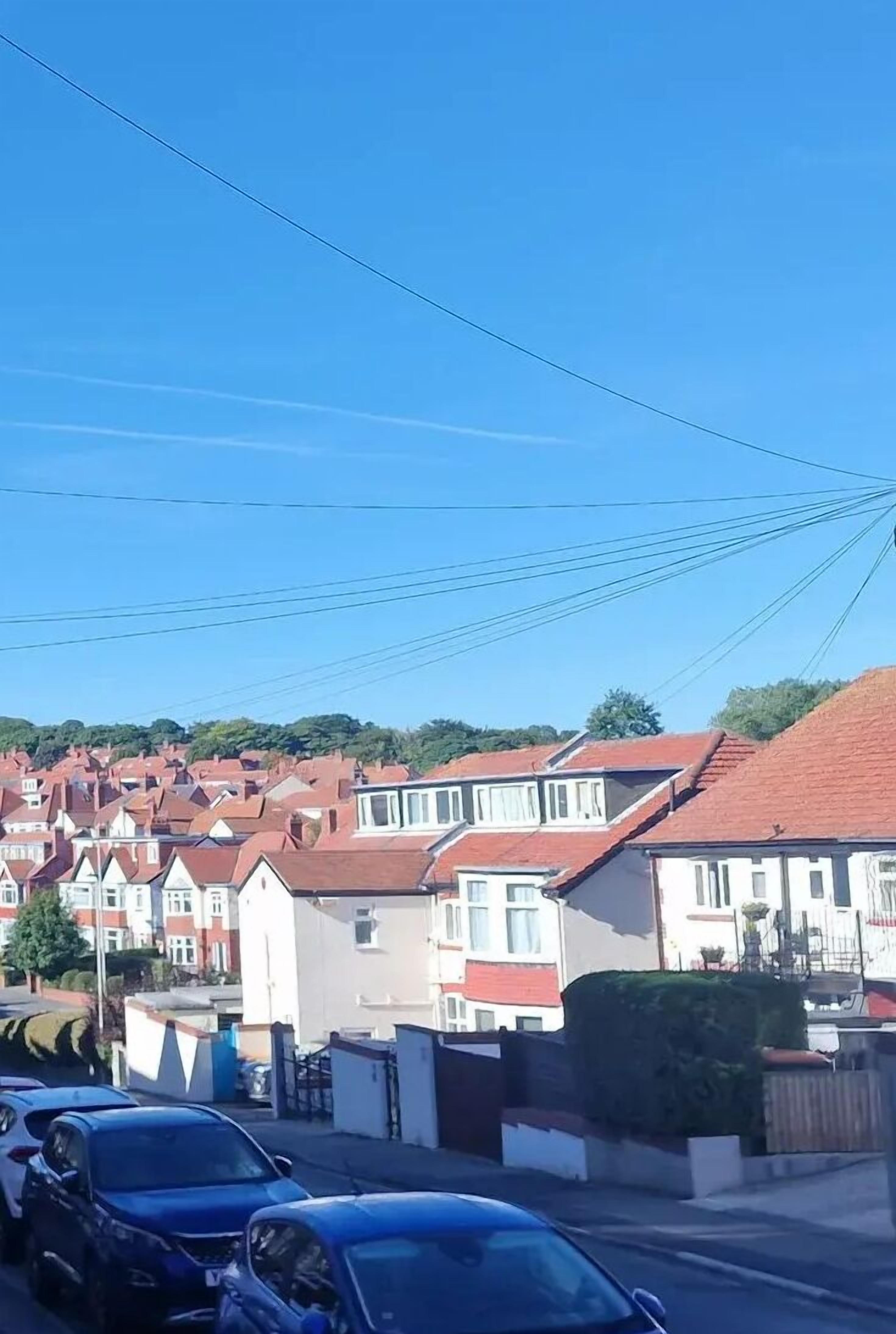Eksteriør