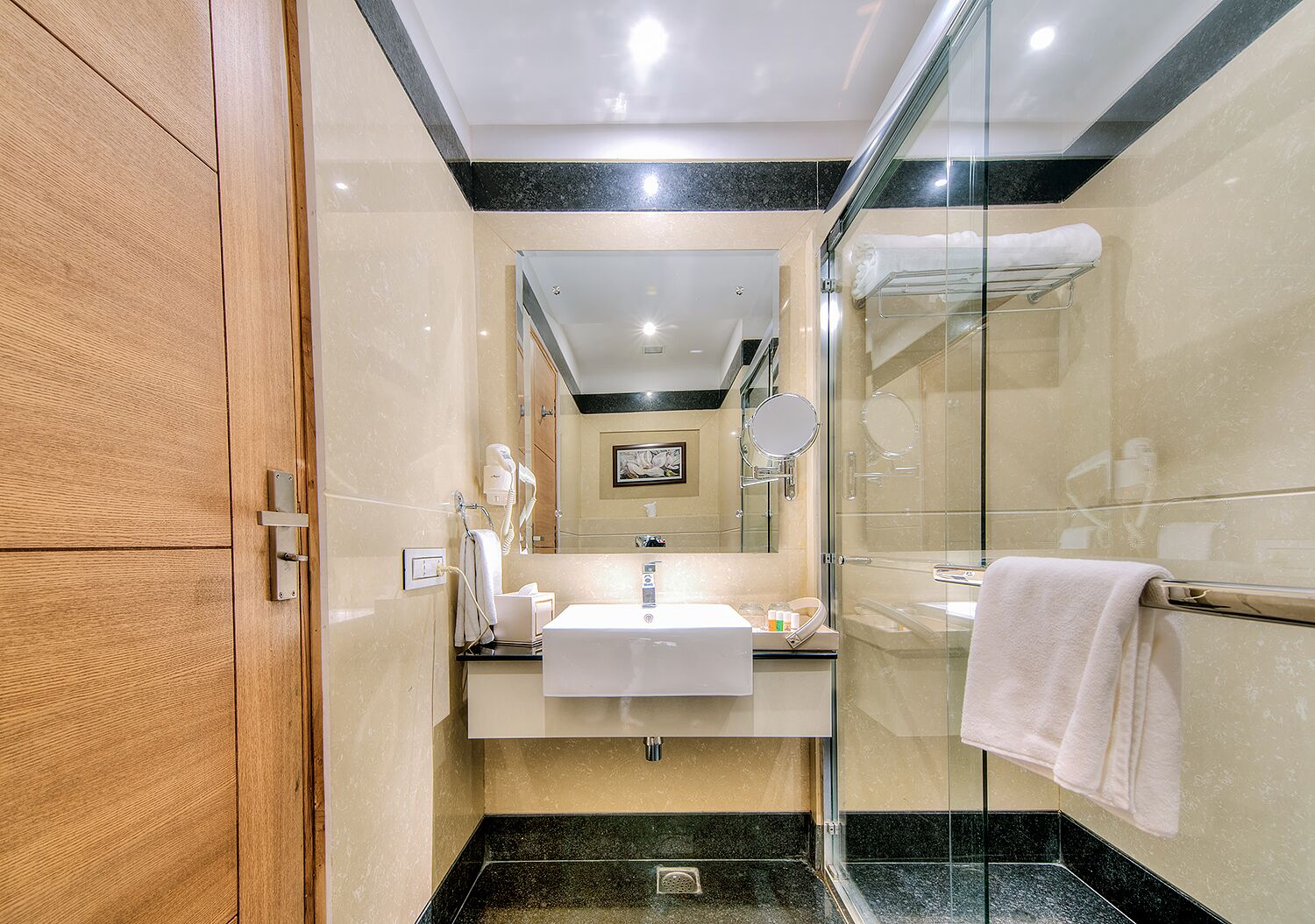 A modern bathroom with a wooden door, a glass shower enclosure, a white sink, and a mirror.