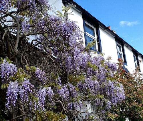 The White House Guest House