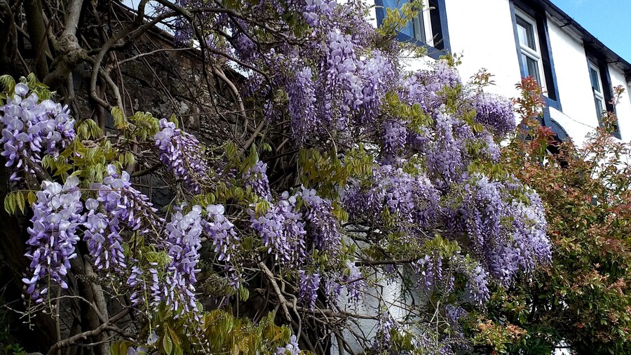 The White House Guest House