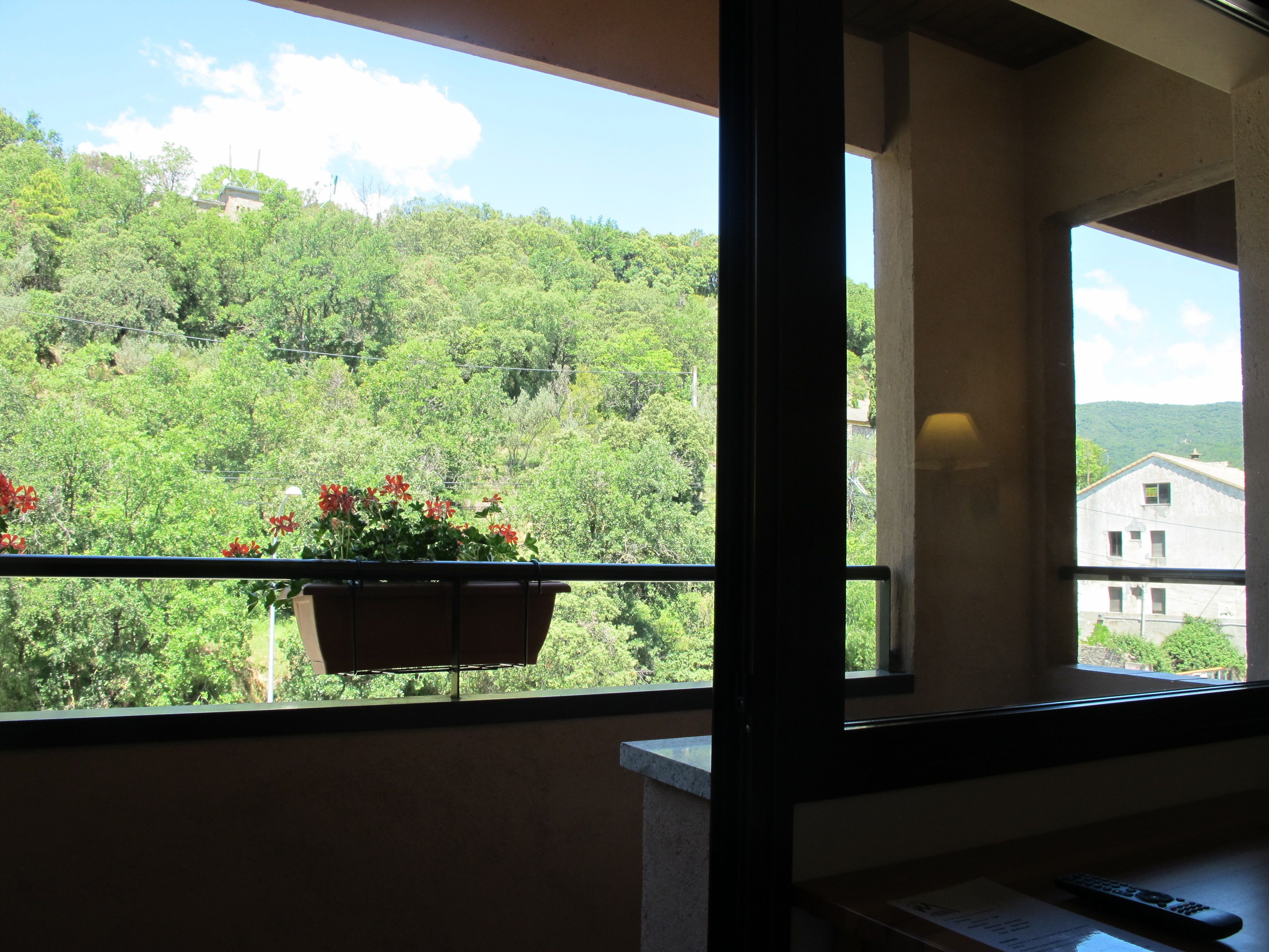 Chambre avec lits jumeaux (2 Single Beds) | Balcon