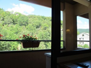 Uma varanda com vista para uma encosta arborizada, uma janela com cortina e um controle remoto no parapeito.