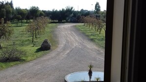 Blick durch ein Fenster auf eine Landstraße, die zu einem Feld mit einem kleinen Teich und Bäumen führt.