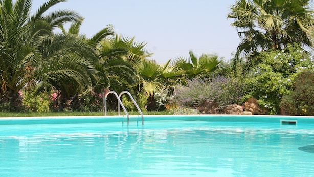 Ein Schwimmbecken, umgeben von üppiger Vegetation und Palmen.