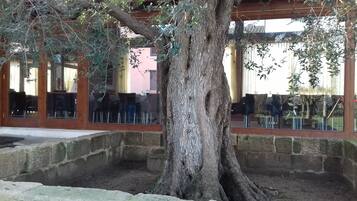 Petit déjeuner et dßner servis sur place, vue sur la piscine