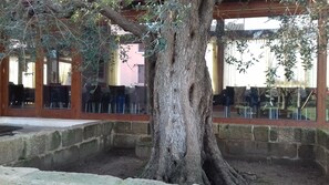 Aperto a colazione e cena, cucina italiana, con vista sulla piscina