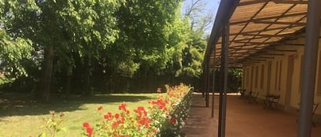 Cobertizo