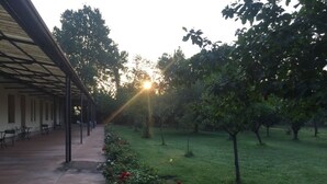 A covered outdoor area with a pathway, greenery, and trees.