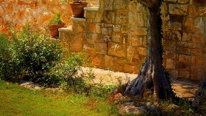 A stone wall with a tree in front of it.
