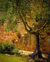 Standard Double or Twin Room, 1 Bedroom, Private Bathroom | Property grounds