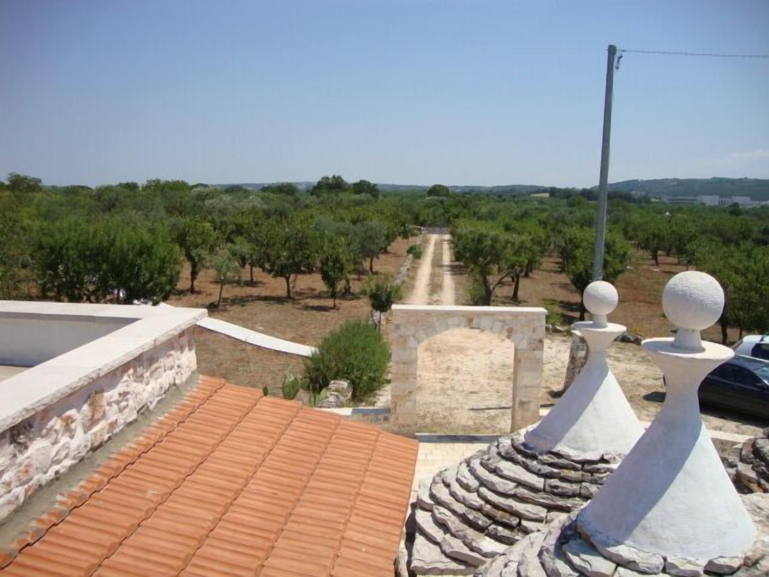 Una terraza en la azotea con techo de tejas, pared de piedra y vistas a un olivar.