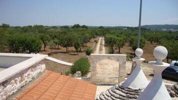Una terraza en la azotea con techo de tejas, pared de piedra y vistas a un olivar.