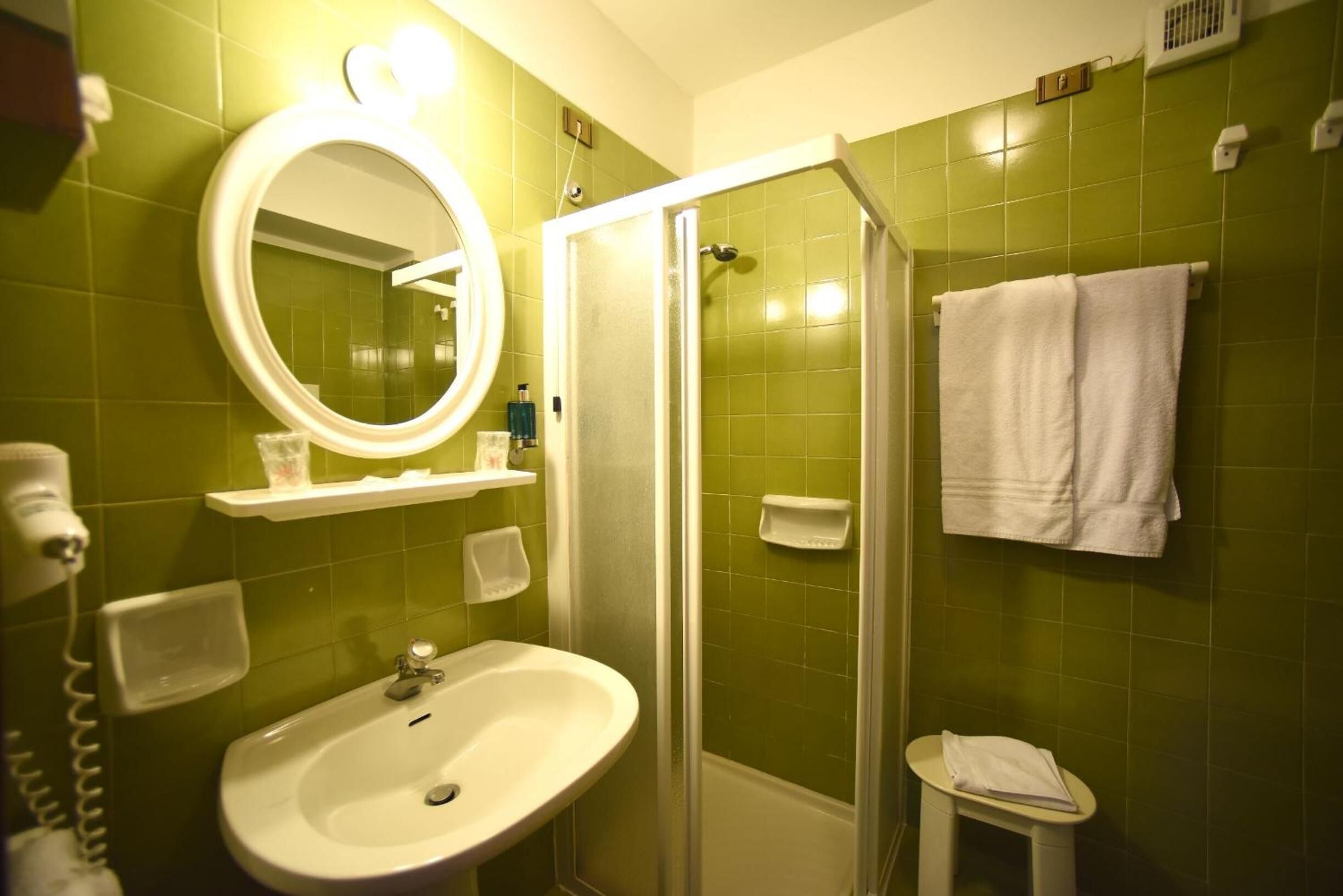 shower, free toiletries, hair dryer, bidet