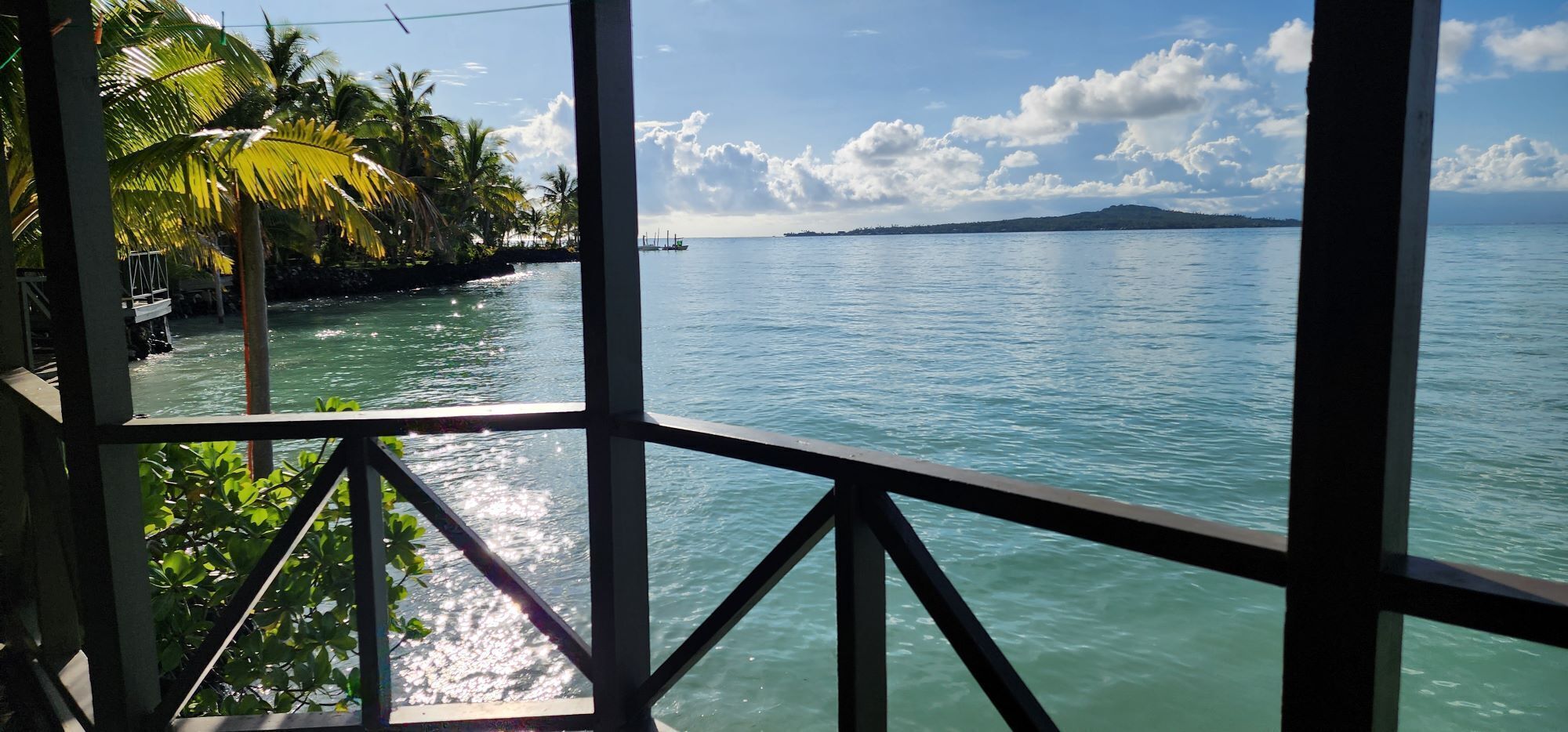 A view from a balcony overlooking turquoise water, palm trees, and a distant island.
