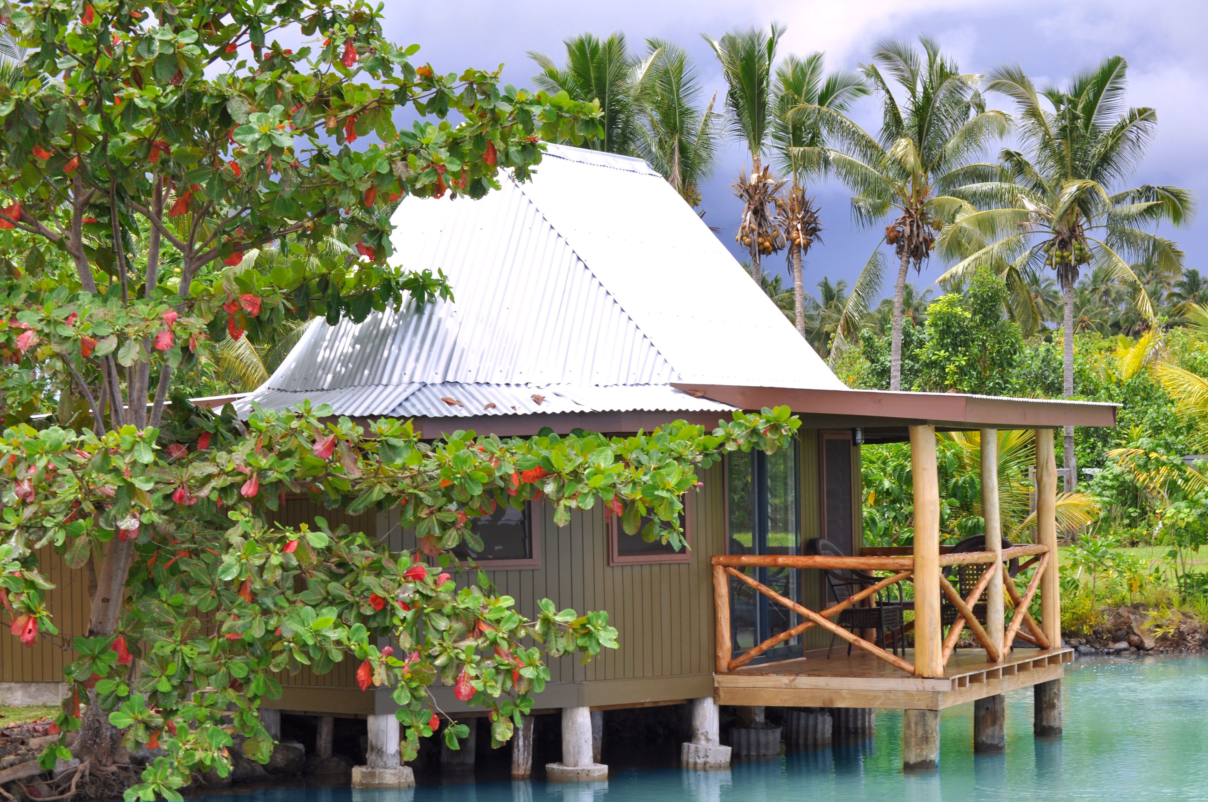 A wooden house with a metal roof, situated on stilts over water, surrounded by lush greenery and palm trees.