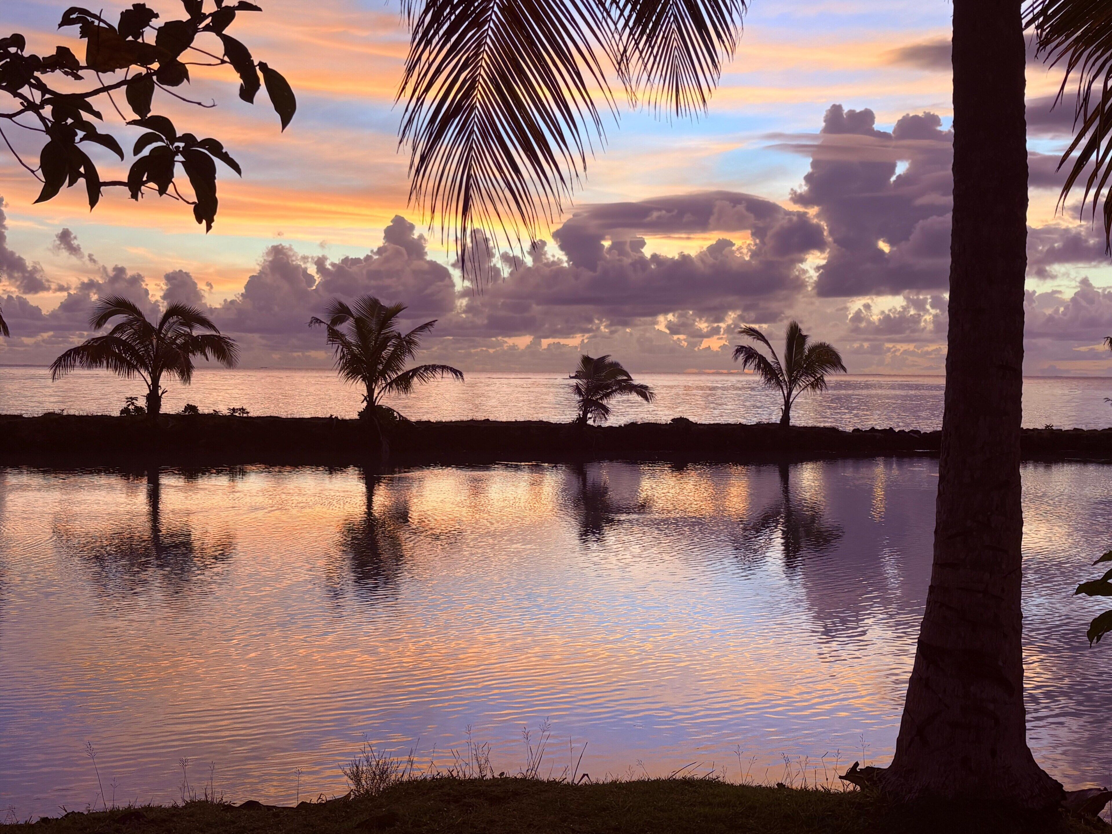 A sunset over a calm body of water with palm trees and a distant shoreline.