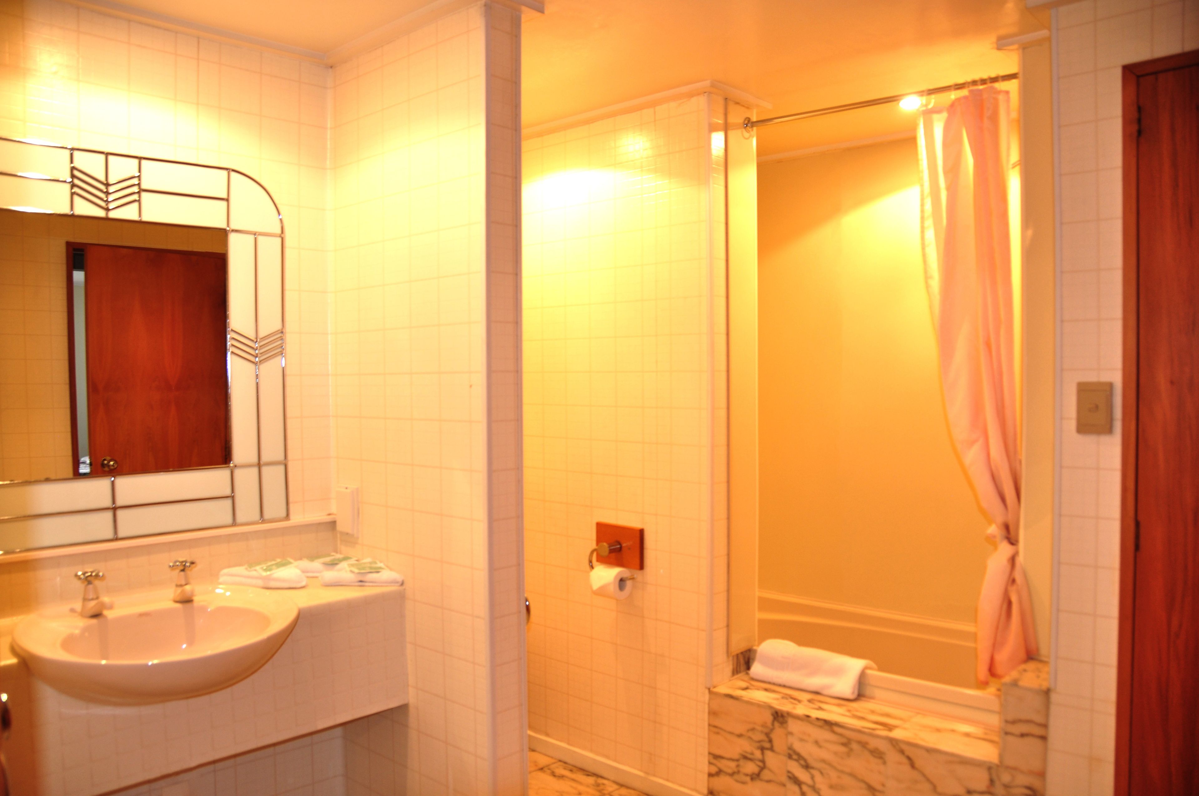 A bathroom with a sink, mirror, shower, and a wooden door.