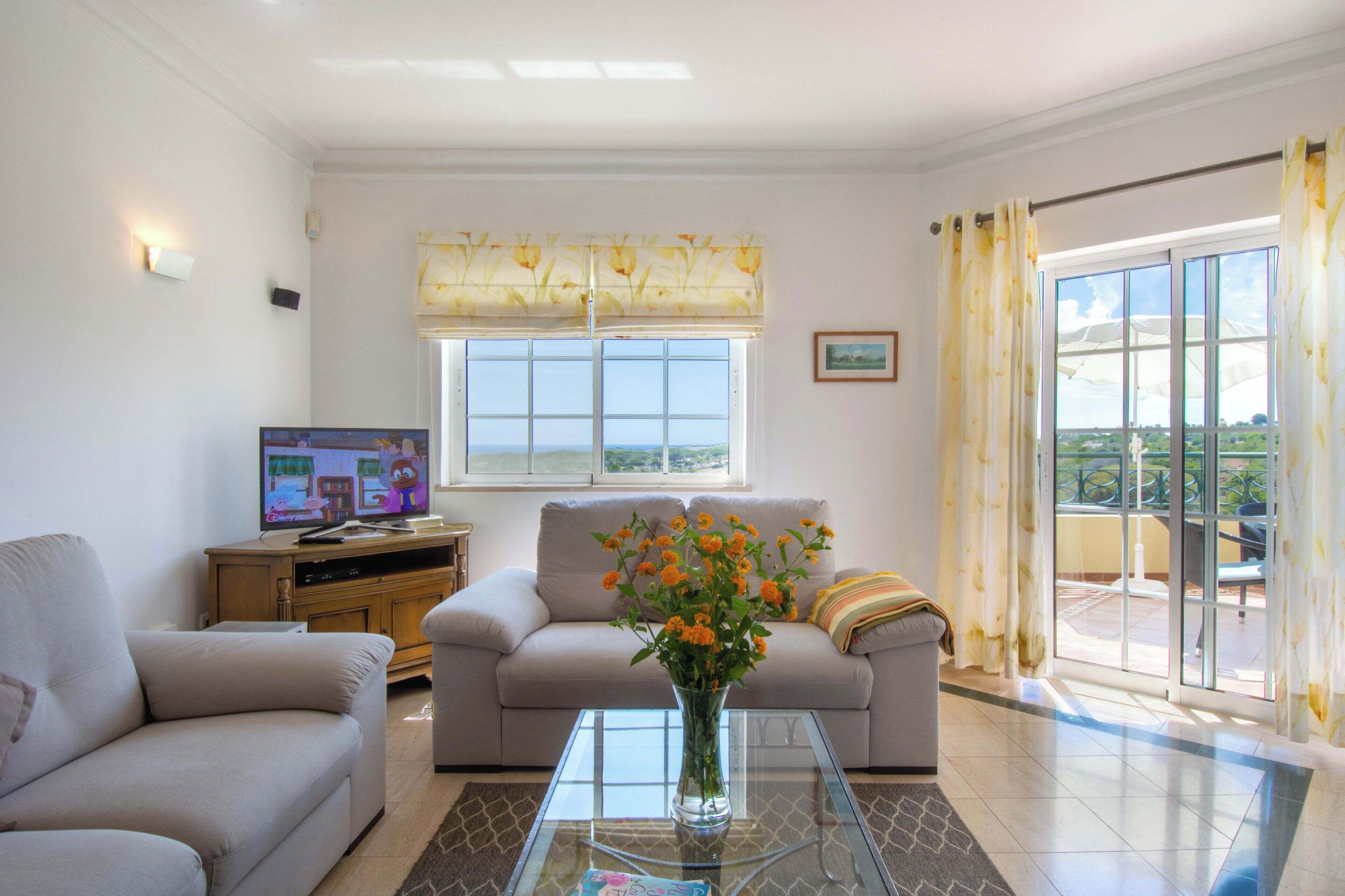 50-cm plasma TV with satellite channels, TV, fireplace