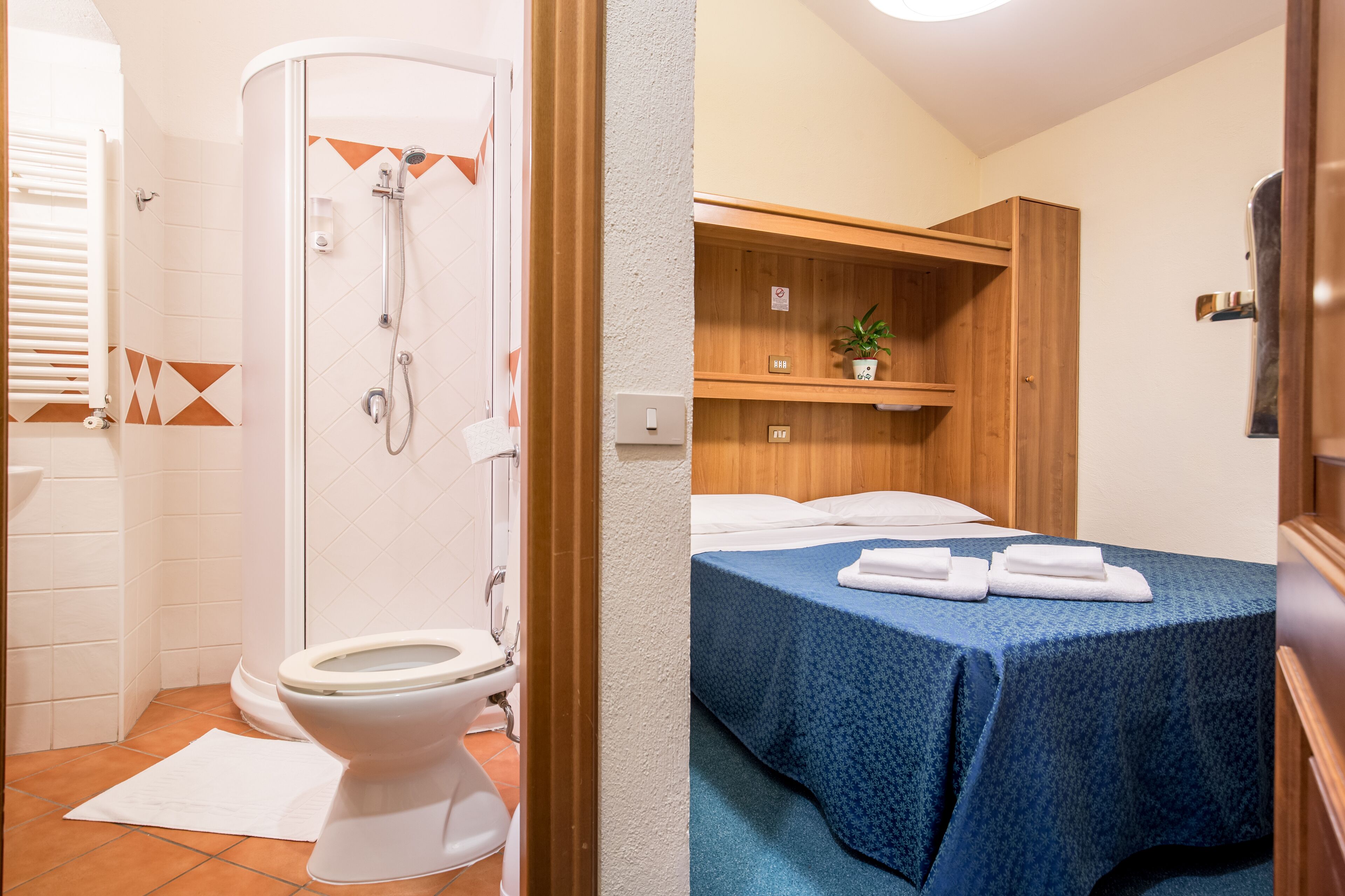 economy double room | bathroom | shower, rainfall showerhead, free toiletries, hair dryer
