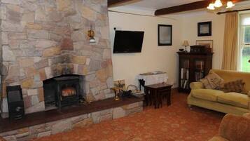 Una sala de estar acogedora con chimenea de piedra, un sofá, un televisor y una estantería.