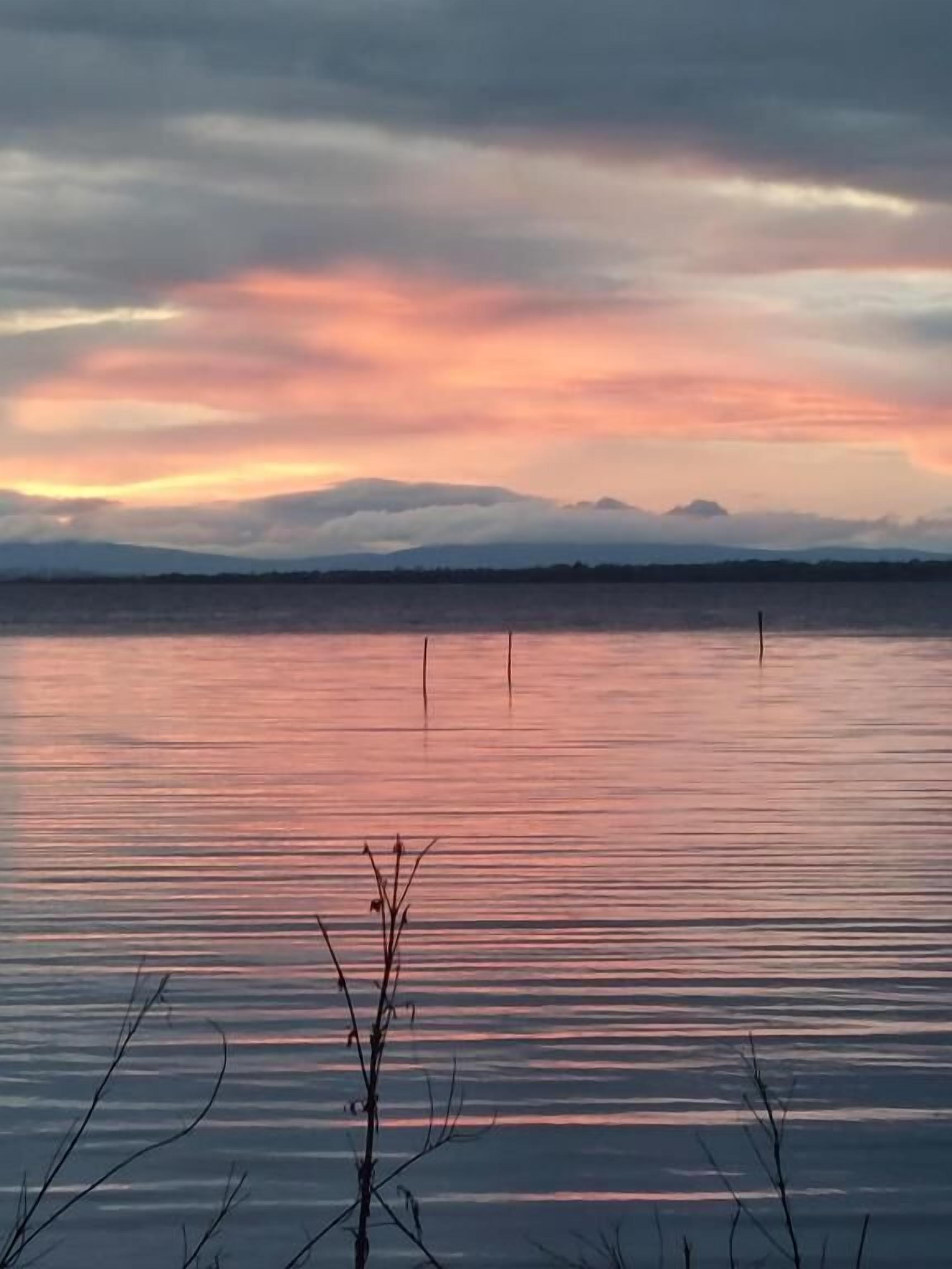 A calm body of water with a horizon line and a plant in the foreground.