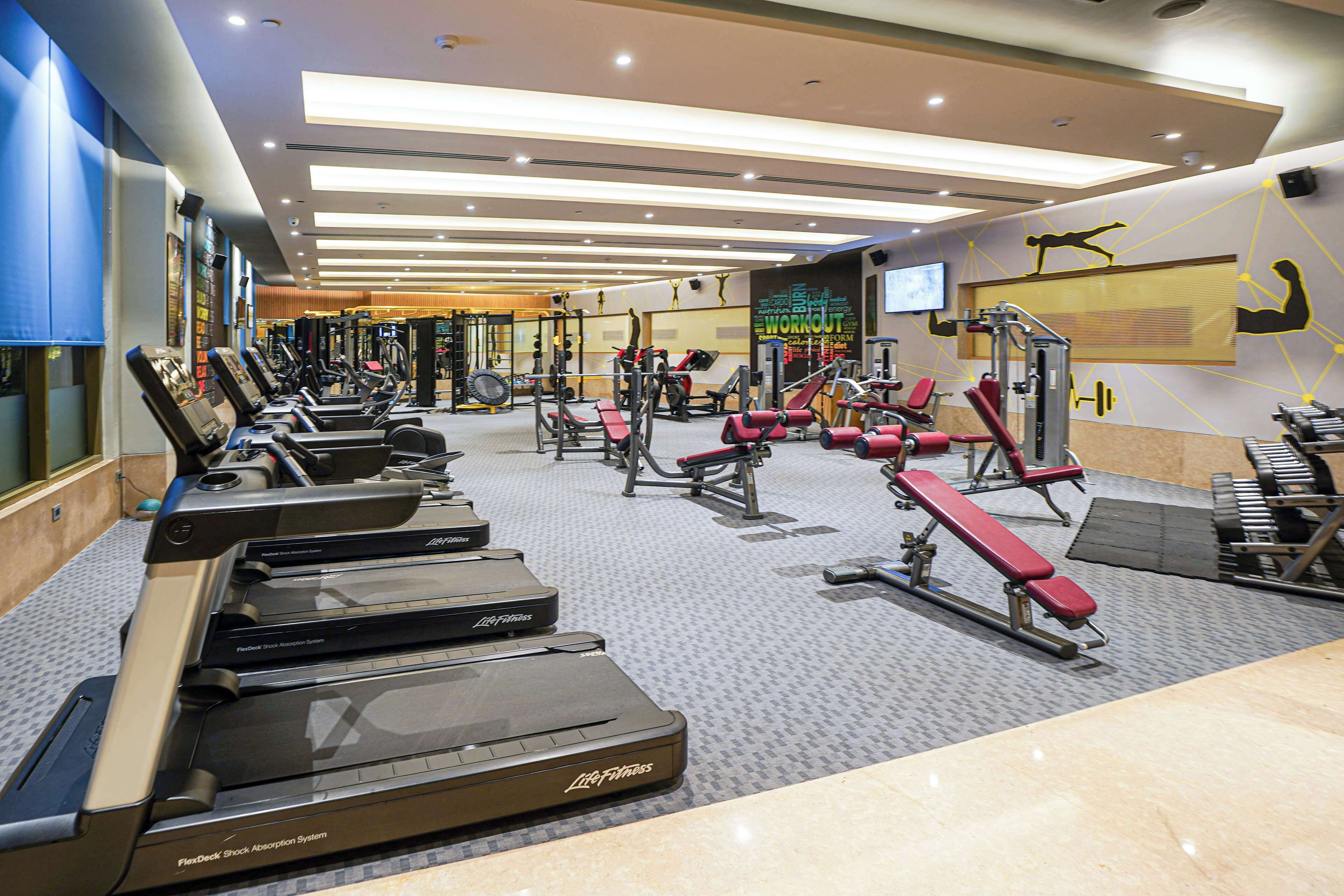 Une salle de sport équipée de tapis de course, d’appareils de musculation et d’un grand écran mural.