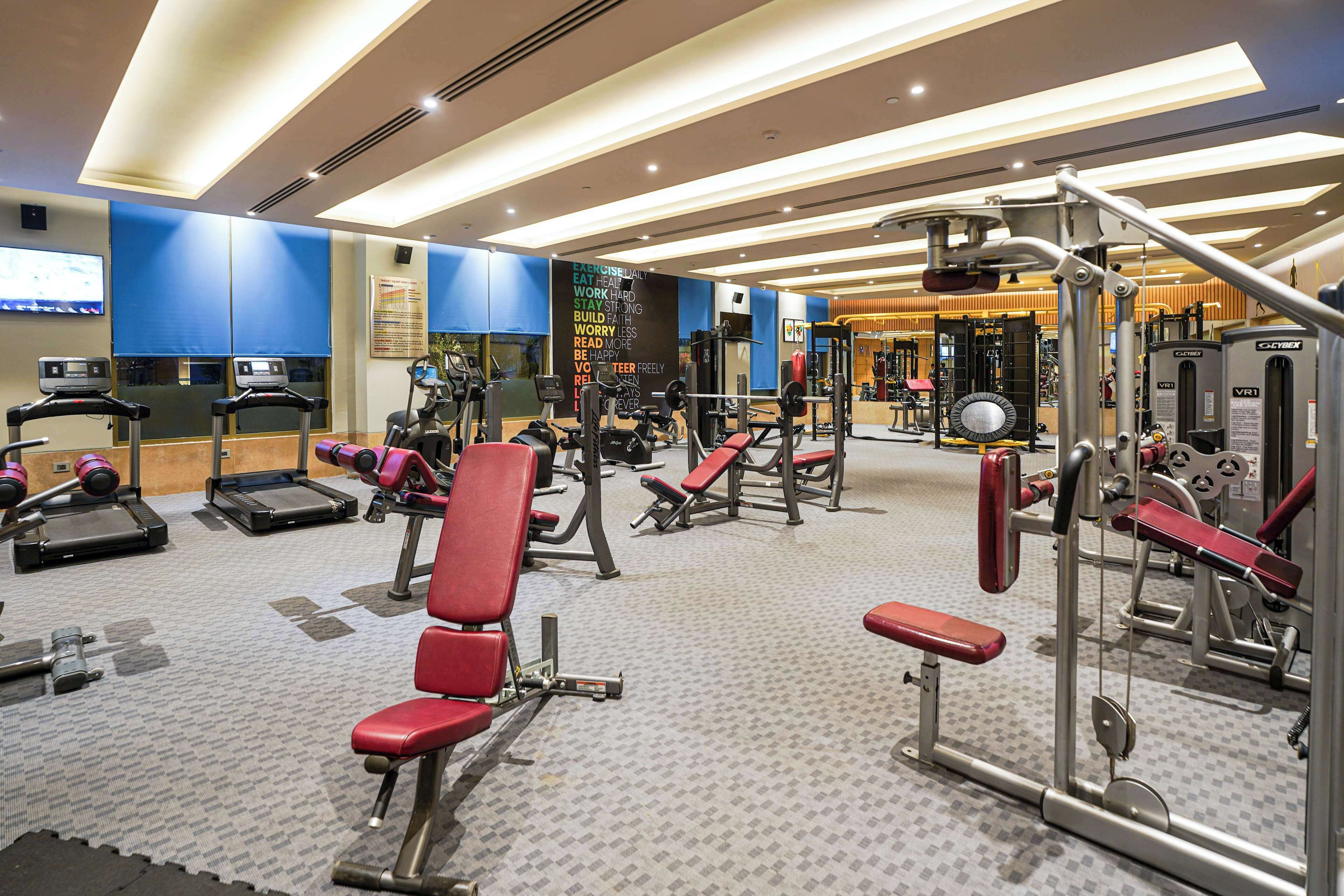 A modern gym with treadmills, weight machines, and a variety of exercise equipment.
