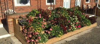 ฟิลแอนด์แอนส์ ซันเซ็ต โมเต็ล