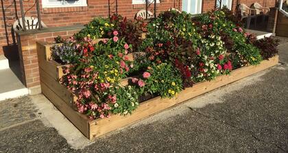 Phil & Anns Sunset Motel