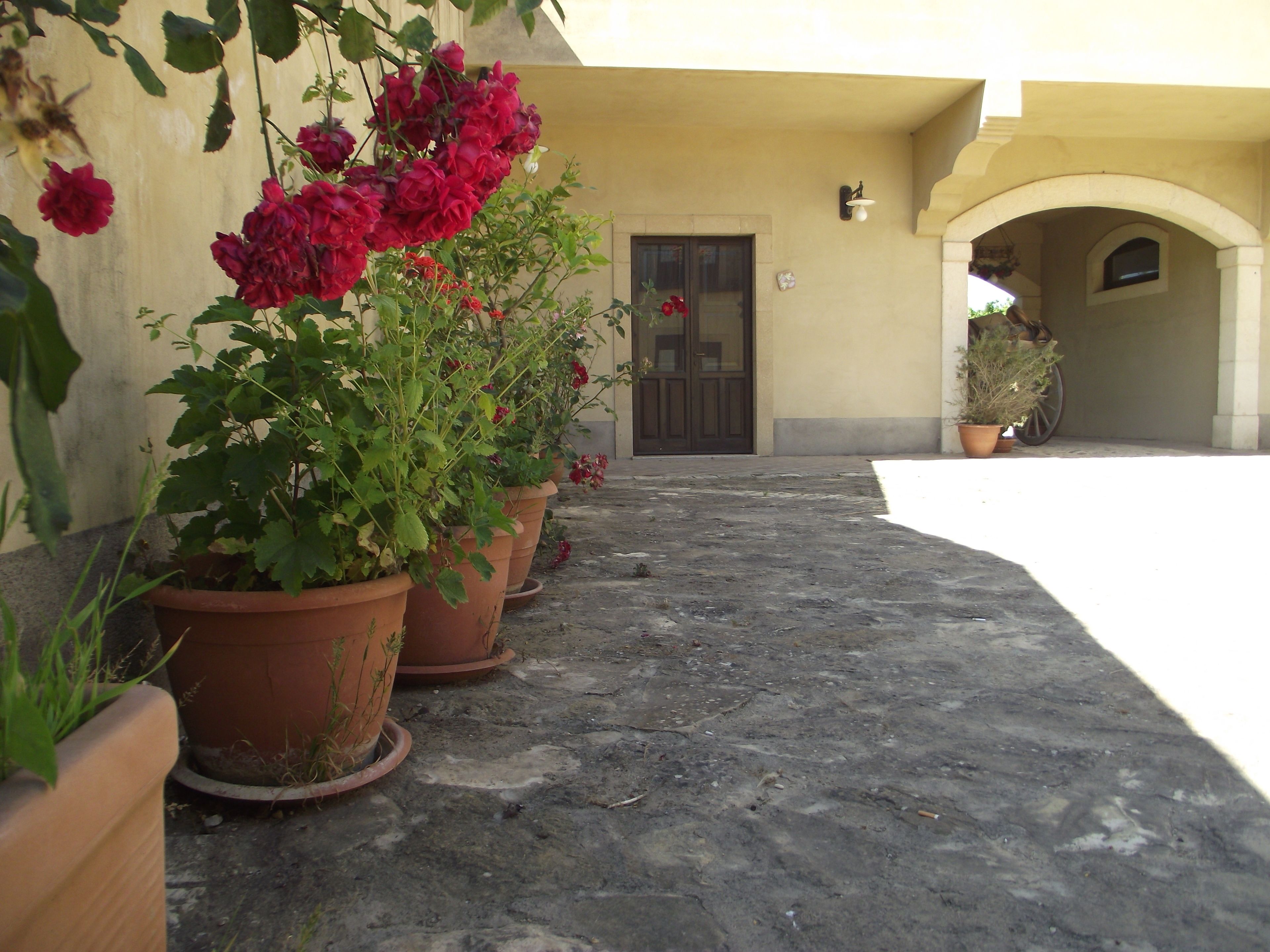 Courtyard