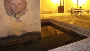 Un muro de piedra con una cabeza esculpida, una piscina y una mesa con sillas bajo una sombrilla.