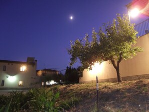 Stunning residential area under the night sky, with buildings and a tree in the foreground.